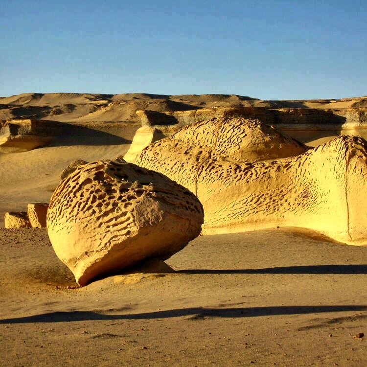 Wadi Hitan Fayoum